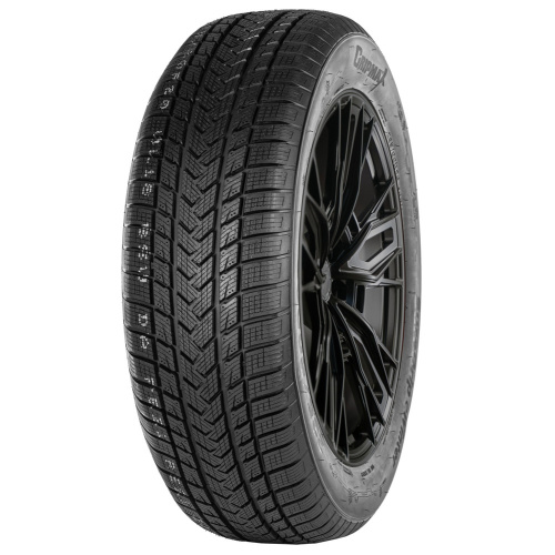 Gripmax SureGrip eWinter 215/40R17 87V XL BSW